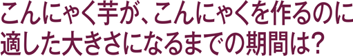 こんにゃく芋が、こんにゃくを作るのに適した大きさになるまでの期間は？