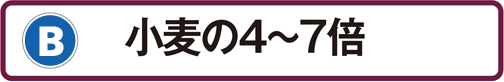 B：小麦の4～7倍