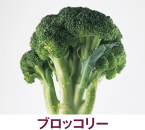 食べているのはどこ？ ブロッコリー