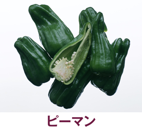 食べているのはどこ？ ピーマン