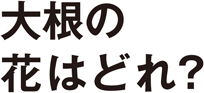 大根の花はどれ？