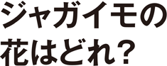 ジャガイモの花はどれ？