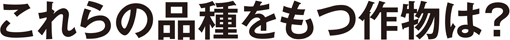 これらの品種をもつ作物は？